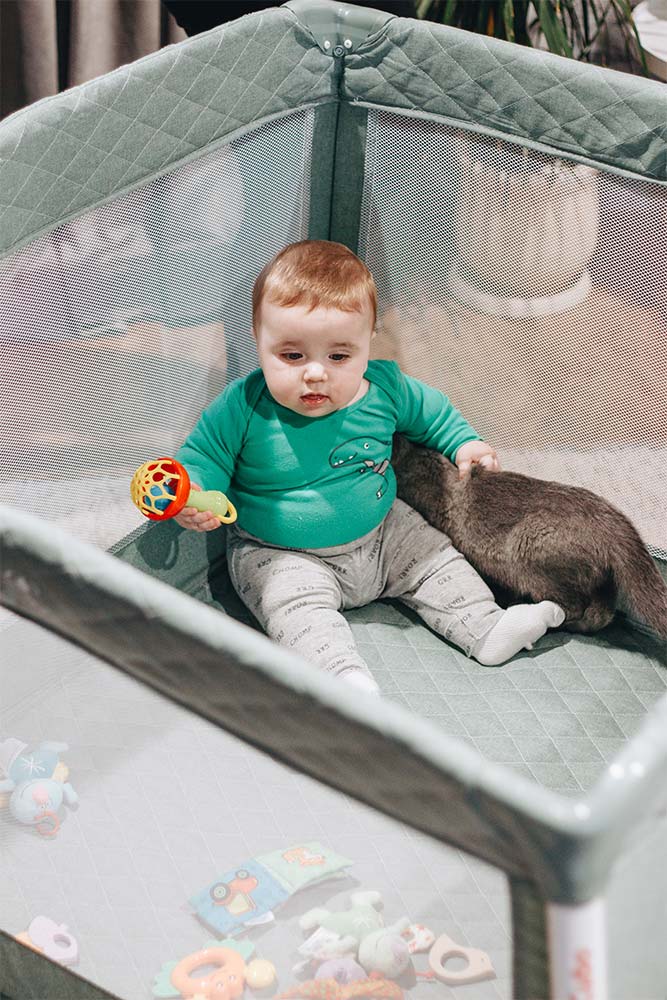 Manege and Myths: a conversation with a skeptic 2