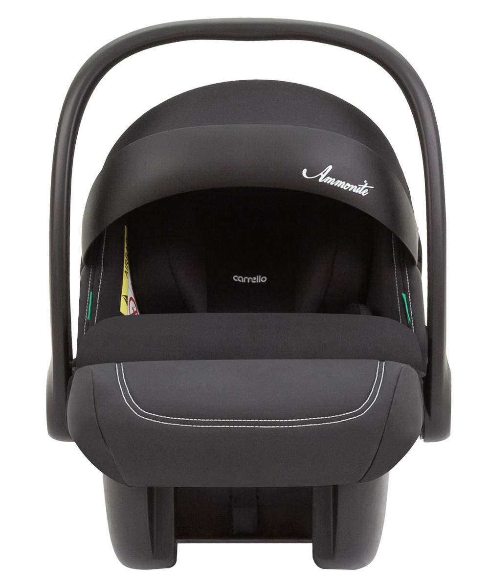 Ammonite + base 1 car seat