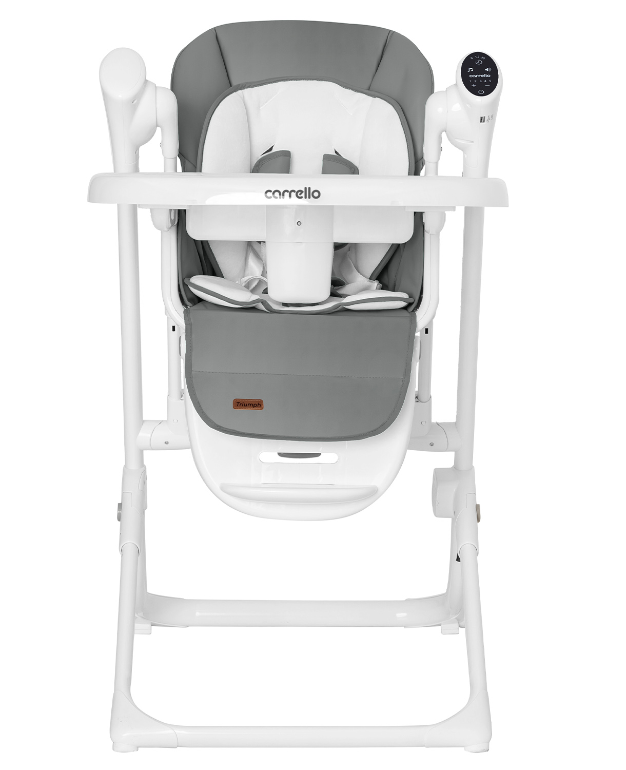 Triumph 2 Swing Chair