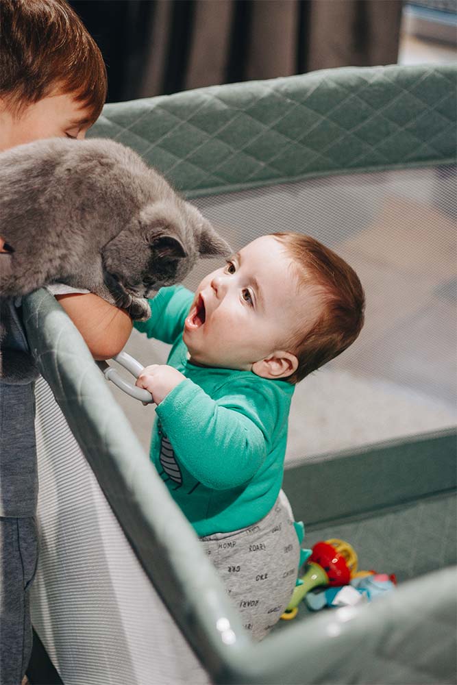 Manege and myths: a conversation with a skeptic 1