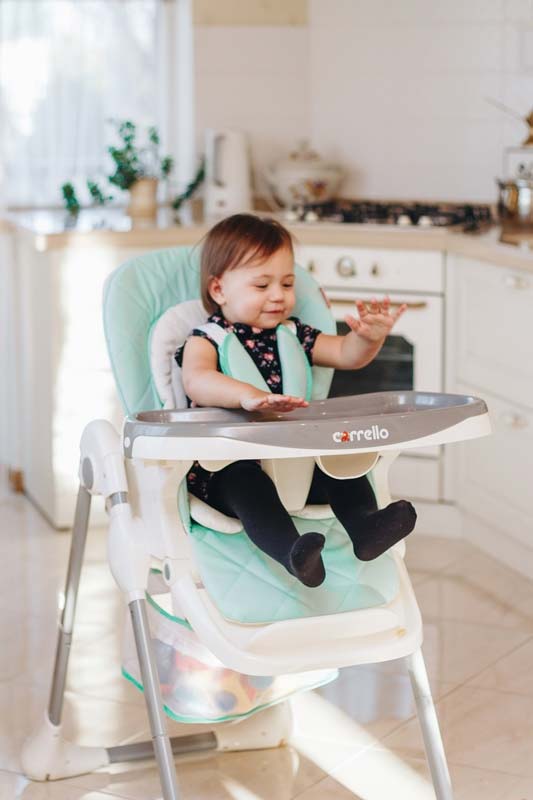 A high chair for feeding. Very nice! 2