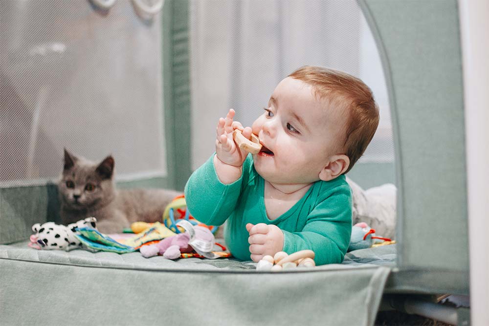 Manege and myths: a conversation with a skeptic 6