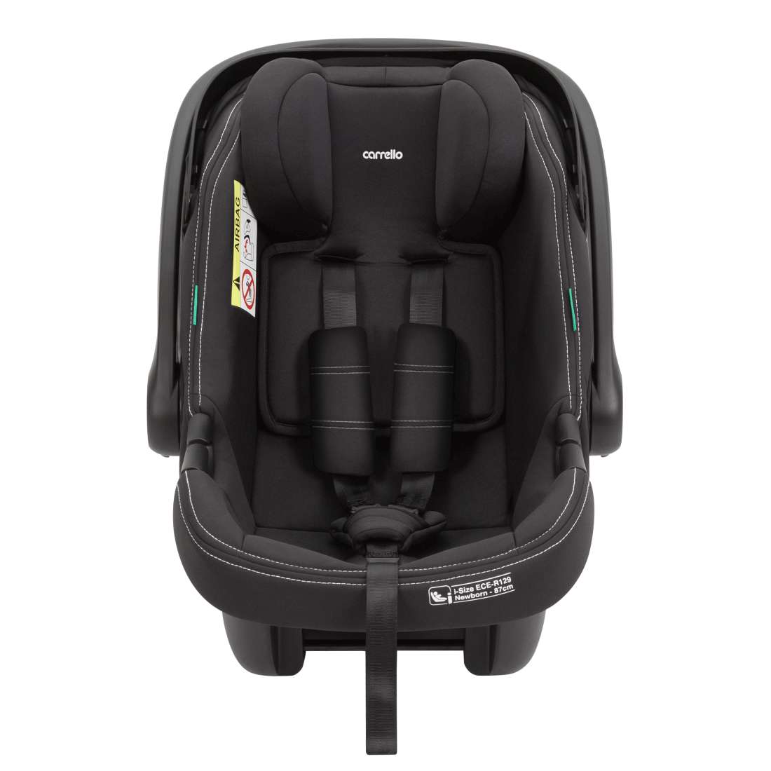 Ammonite + base 3 car seat