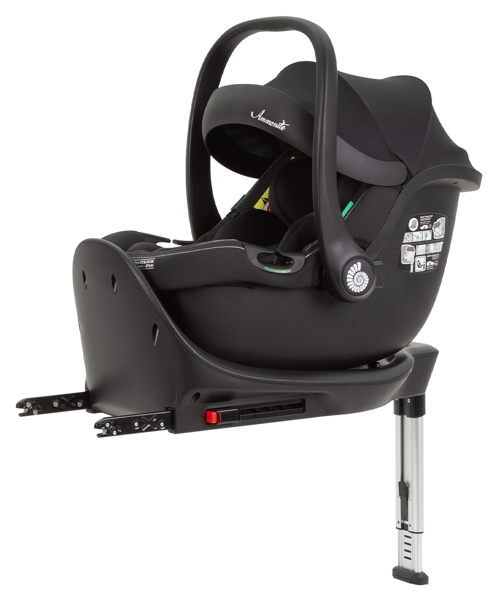 Ammonite + base car seat