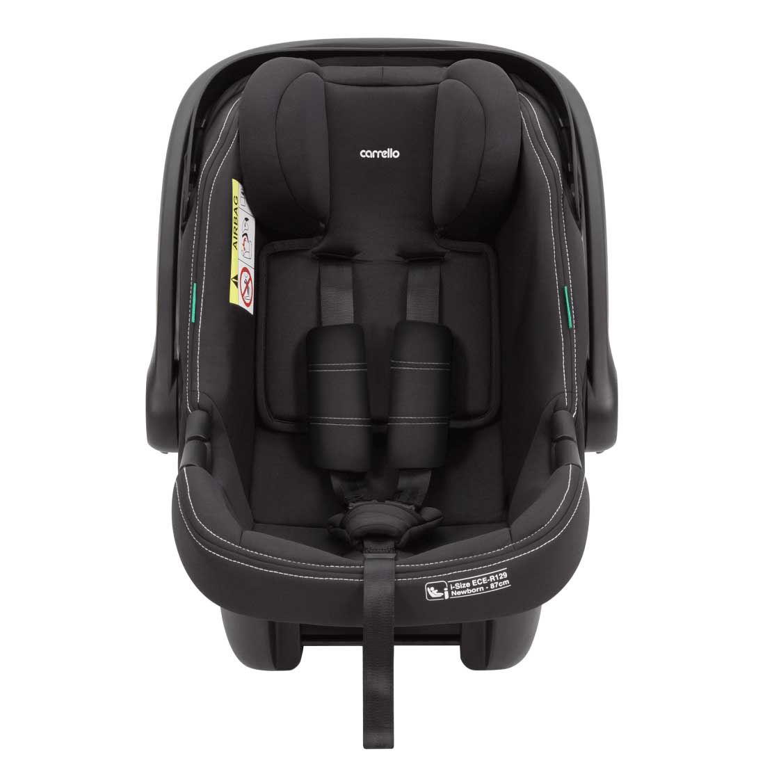 Ammonite + base 3 car seat