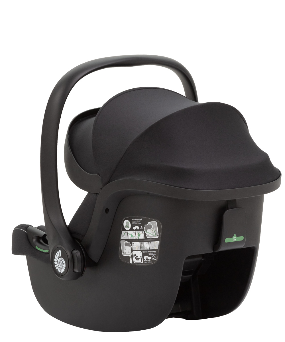 Ammonite + base 4 car seat