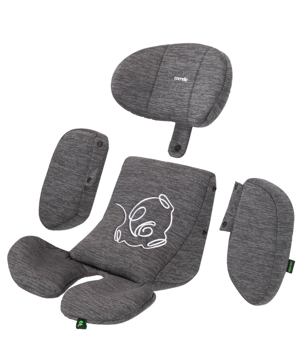 Meteorit 2 Car seat